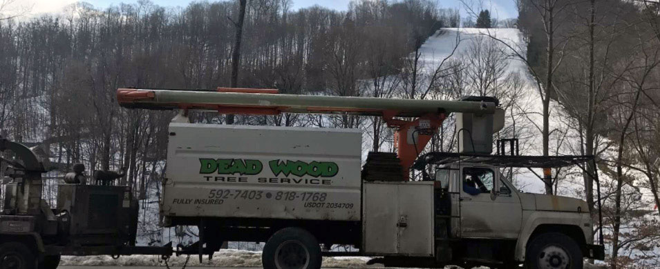 dead wood tree service truck